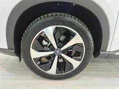 2021 BYD Song PLUS EV Flagship, белый — фото 15