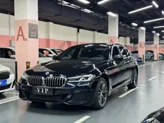 2022 BMW 5 Series 5 530Li M, синий — фото 1