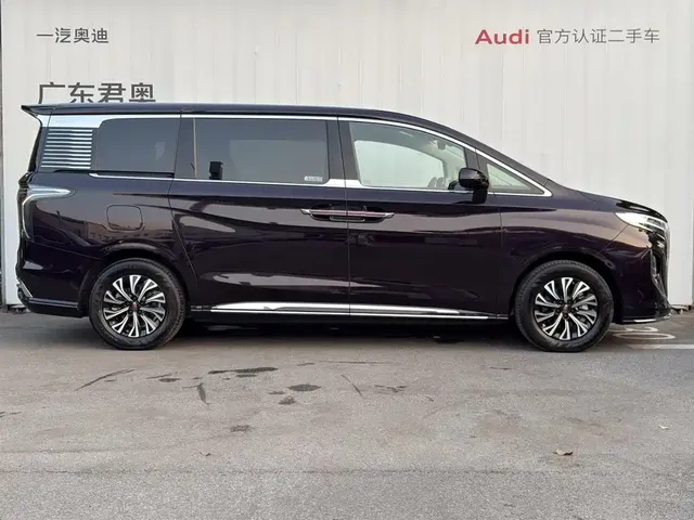 2024 Hongqi HQ9 2.0T Luxury