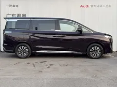 2024 Hongqi HQ9 2.0T Luxury — фото 3