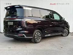 2024 Hongqi HQ9 2.0T Luxury — фото 4