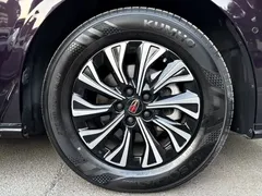 2024 Hongqi HQ9 2.0T Luxury — фото 13