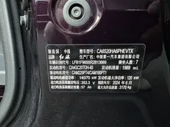 2024 Hongqi HQ9 2.0T Luxury — фото 14