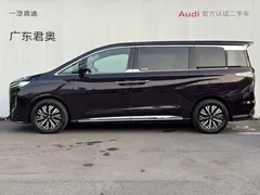 2024 Hongqi HQ9 2.0T Luxury — фото 15