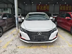 2021 Changan Raeton PLUS Blue Whale 1.5T DCT Luxury, белый — фото 2