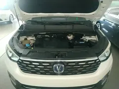 2019 Changan CS55 1.5T AT VI, белый — фото 20