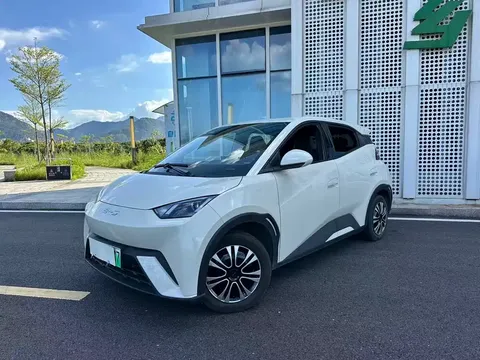 2024 BYD Seagull Honor 305km Vitality