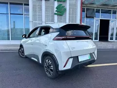 2024 BYD Seagull Honor 305km Vitality, белый — фото 3
