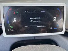 2024 BYD Seagull Honor 305km Vitality, белый — фото 15