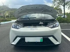 2024 BYD Seagull Honor 305km Vitality, белый — фото 18
