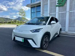 2024 BYD Seagull Honor 305km Vitality, белый — фото 20