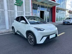 2024 BYD Seagull Honor 305km Vitality, белый — фото 22