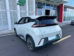 2024 BYD Seagull Honor 305km Vitality, белый — фото 26