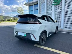 2024 BYD Seagull Honor 305km Vitality, белый — фото 28