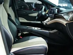 2023 BYD Dolphin 420km Fashion — фото 11