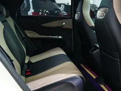2023 BYD Dolphin 420km Fashion — фото 12
