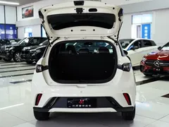 2023 BYD Dolphin 420km Fashion — фото 13