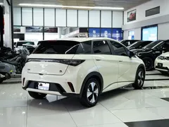 2023 BYD Dolphin 420km Fashion — фото 14
