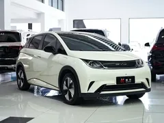 2023 BYD Dolphin 420km Fashion — фото 16