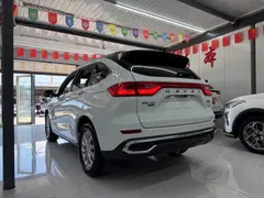 2023 Haval M6 Plus 1.5T MT Luxury, белый — фото 4