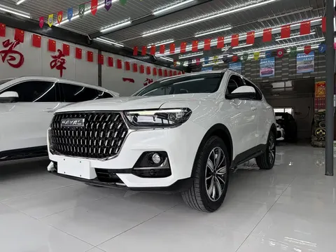 2023 Haval H6 1.5T AT Guochao Champion