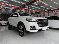 2023 Haval H6 1.5T AT Guochao Champion, белый — фото 2