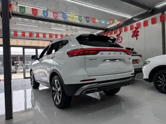 2023 Haval H6 1.5T AT Guochao Champion, белый — фото 4