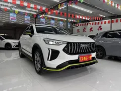 2022 Haval Chitu 1.5T, белый — фото 2