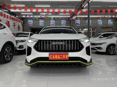 2022 Haval Chitu 1.5T, белый — фото 3