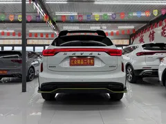2022 Haval Chitu 1.5T, белый — фото 6