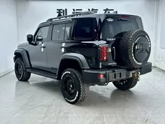 2024 Tank 300 2.0T, чёрный — фото 16