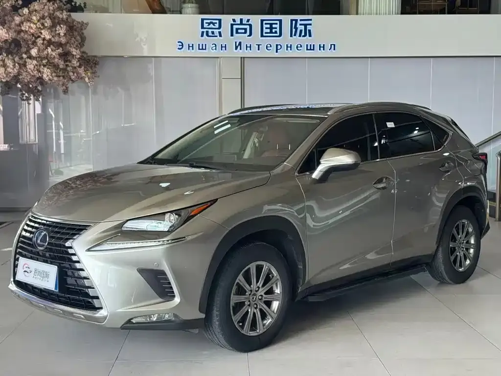 2020 Lexus NX 200 Fashion VI