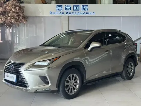 2020 Lexus NX 200 Fashion VI