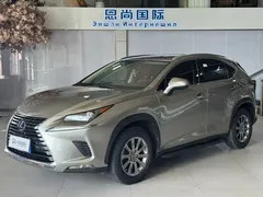 2020 Lexus NX 200 Fashion VI — фото 1