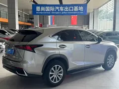 2020 Lexus NX 200 Fashion VI — фото 5
