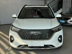 2023 Haval M6 PLUS 1.5T DCT, белый — фото 2