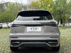 2023 Hongqi HS5 2.0T 4WD Pro — фото 5