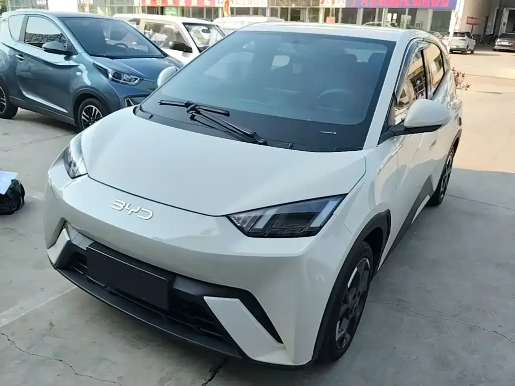 2025 BYD Seagull 305km Freedom