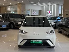 2023 BYD Seagull, белый — фото 2