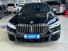 2019 BMW 7 Series M760Li xDrive V12, чёрный — фото 2