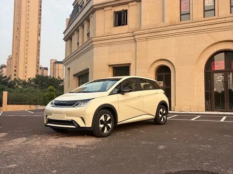 2025 BYD Dolphin 420km Freedom