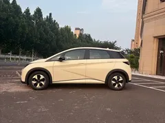 2025 BYD Dolphin 420km Freedom — фото 5