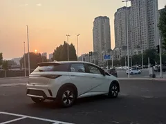 2025 BYD Dolphin 420km Freedom — фото 9