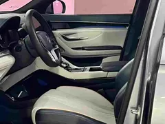 2021 BYD PLUS DM-i 110KM PLUS 5G — фото 13