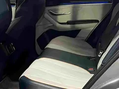 2021 BYD PLUS DM-i 110KM PLUS 5G — фото 14