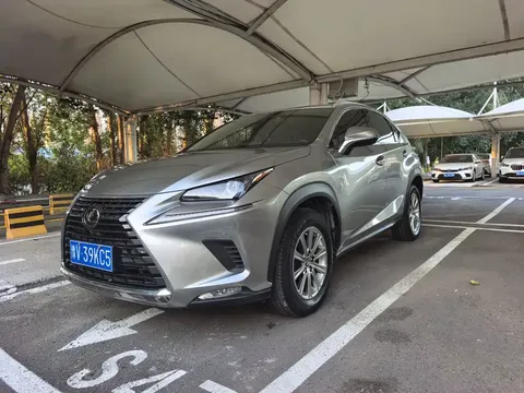 2020 Lexus NX 200 Fashion VI
