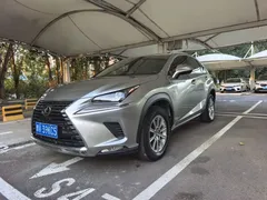 2020 Lexus NX 200 Fashion VI — фото 1