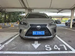 2020 Lexus NX 200 Fashion VI — фото 2