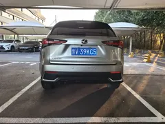 2020 Lexus NX 200 Fashion VI — фото 20