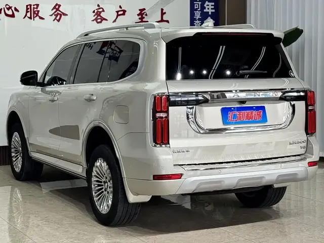 2022 Tank 500 3.0T Business 5-seat